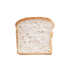 Single Slice of Toasted Bread on Transparent Background
