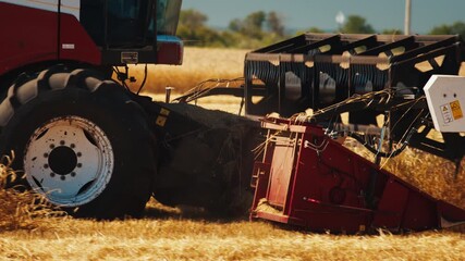 Combine harvester works moves and collects the wheat harvest in the ripe wheat field during the summer hot day - Powered by Adobe