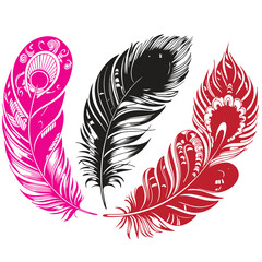 Colorful & Stylized Feather Designs 