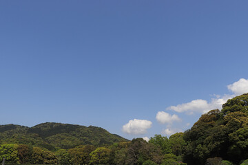 The traditional Japanese landscape, created by gardens in harmony with nature, gives off a mystical impression.
