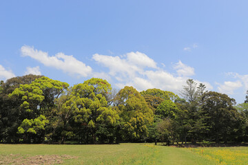 The traditional Japanese landscape, created by gardens in harmony with nature, gives off a mystical impression.