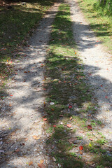 The traditional Japanese landscape, created by gardens in harmony with nature, gives off a mystical impression.