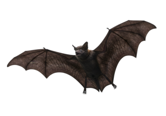 CloseUp View of a Bat in Flight Detailed Wingspan and Body Features on transparent background