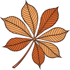 autumn leaves vector illustration