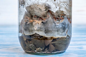 This image shows a glass jar filled with a substance that appears to be a mixture of dirt leaves...