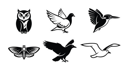 A collection of six distinct black and white illustrations of various birds and a moth.