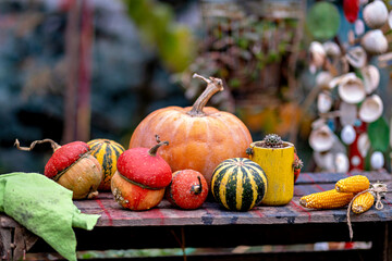 This image features a collection of pumpkins and gourds arranged on a table