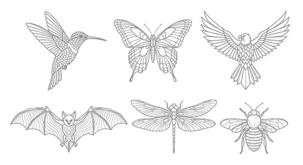 A collection of six detailed, black and white line art illustrations of various flying animals on a white background.