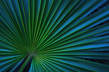 Vibrant palm frond detail