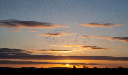 Fototapeta premium sunset over the city