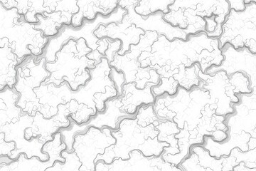 Obraz premium Abstract pattern of light gray lines on white background. Complex, flowing shapes resemble organic forms