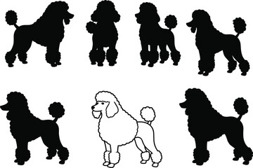 Poodle Dog Vector Set with Silhouettes and Detailed Outline Illustration for Pet and Animal-themed Designs.