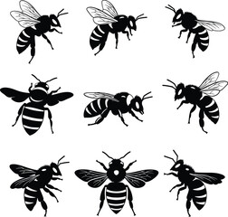 Detailed Honey Bee Vector Set with Various Flying Poses for Nature, Pollination, and Wildlife Designs.