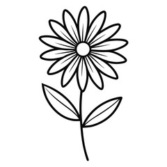 senecio vulgaris line art vector on white
