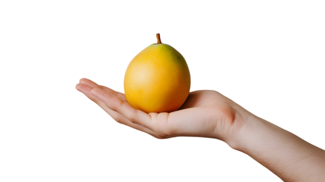 Yellow fruit resting on an open palm, Isolated on white background