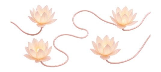 String of lotus flower-shaped bulbs with pink wire