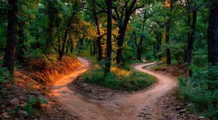 Obraz premium Winding dirt path through a sunlit forest