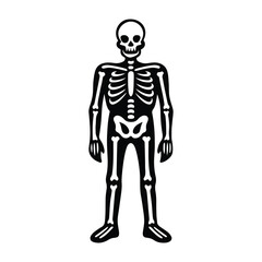 Funny Skeleton SVG