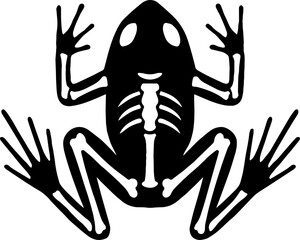 Silhouette of Frog with Leg Bones - Amphibian Anatomy Vector With White Background 