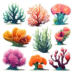 set of colorful coral reefs isolated