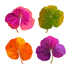 Obraz premium Colorful Autumn Leaves Depicting the Vibrant Hues of Nature's Transition