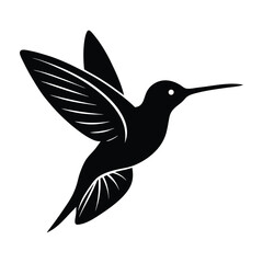 Elegant silhouette of a hummingbird in flight with detailed wing feathers isolated