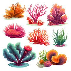 set of colorful coral reefs isolated