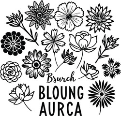 Fototapeta premium Hand Drawn Floral Elements with Text Elements in Black and White Keywords: flower, floral, outline, drawing