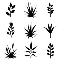 Naklejka premium Collection of nine black silhouettes of plants and leaves Keywords: plant, leaf, grass, bush