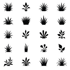 Collection of sixteen black plant and grass icons on white