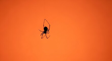 Spooky spider silhouette dangling against vibrant orange backdrop, perfect for Halloween promotions and seasonal event designs