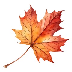 Obraz premium Watercolor Painting of a Single Autumn Maple Leaf with Vibrant Orange Red and Yellow Tones Isolated
