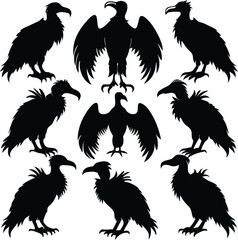 Obraz premium Nine Black Silhouette Vultures in Various Poses on White Background bird