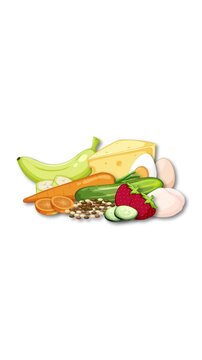 Assorted Low FODMAP Food Groups Assembled in Sequence