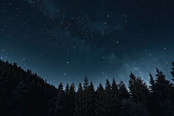 Starry Night Sky Over Dense Forest with Silhouetted Trees and Cosmic Background