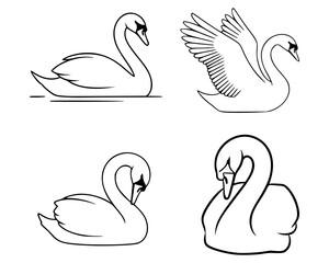 Set of four black and white swan icons, each depicting a different posture. The top left
