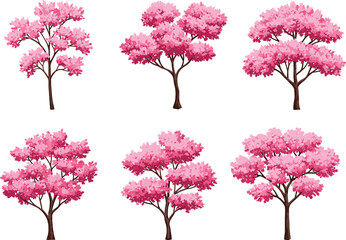 Set of six pink flowering trees with cherry blossom foliage, spring botanical vector illustration for nature, garden, and landscape design
