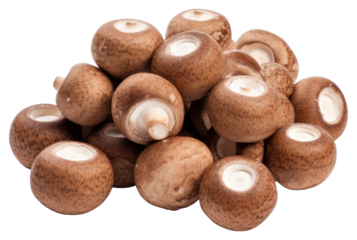 PNG Mushroom food agaricaceae confiture.