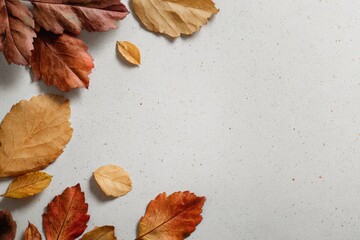 Naklejka premium Clean background with scattered autumn leaves and neutral tones.