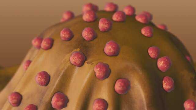 Detailed Medical Concept Showing Staphylococcus Aureus Bacteria