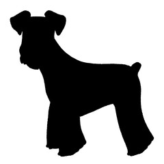 ミニチュアシュナウザーのシルエット