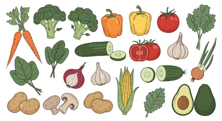 Illustration of a variety of fresh vegetables including carrots and corn
