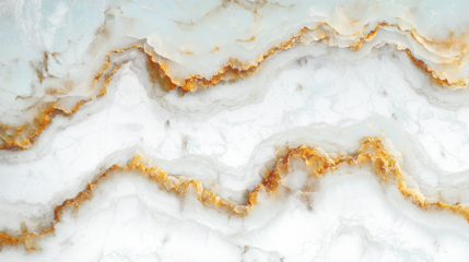 Luxurious white marble with rich gold detailing.