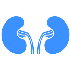blue silhouette kidney illustration