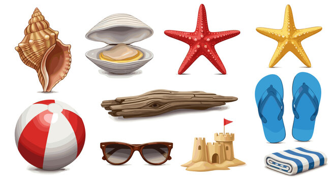 Illustration of beach themed objects including shell and starfish etc