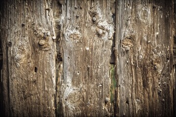 Obraz premium Aged wooden planks close-up