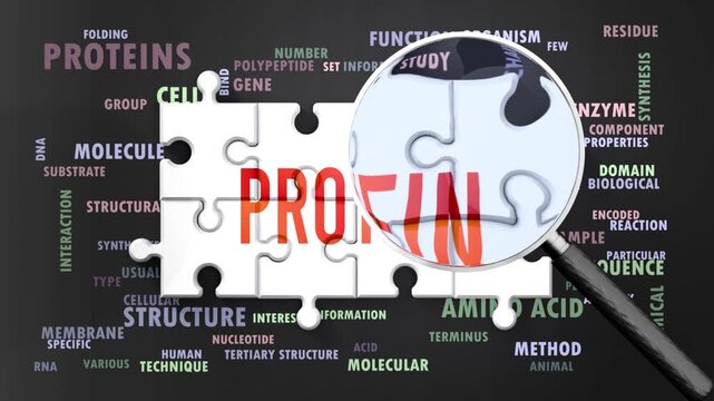 Protein under magnifying glass, being researched, studied and examined. Most important subjects and ideas closely related to protein presented as a word cloud. Complexity of protein. Can be looped.