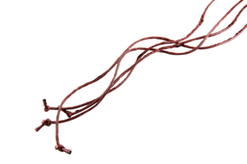 Brown leather rope, coiled into shape isolated on white background.