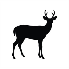Deer Silhouette Isolated on White Background – Wild Animal Vector Illustration