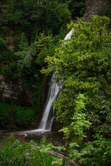 Hidden Waterfall Surrounded by Dense Green Forest